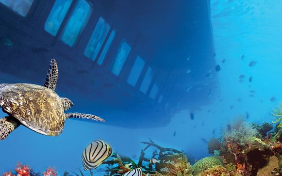 Uw optionele excursies