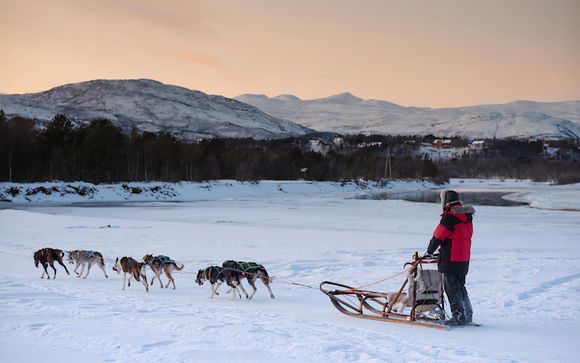 Uw inbegrepen opties