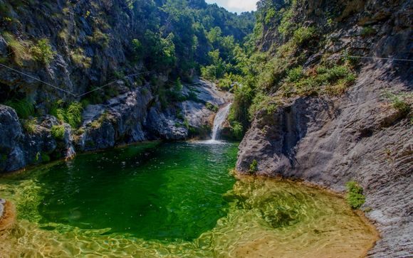 Uw optionele excursies