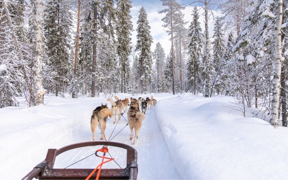 Uw optionele excursies