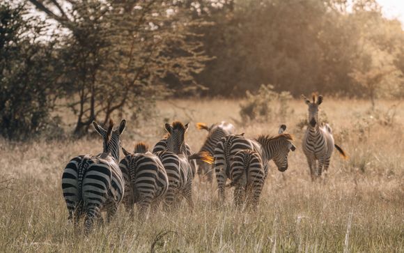 Welkom in ... Tanzania!