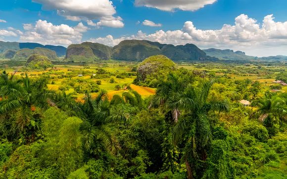 Je optionele excursies