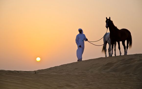 Inbegrepen excursies