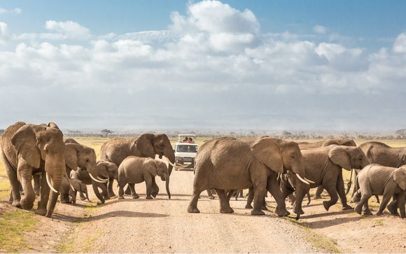 Reisbeschrijving van je optionele safari