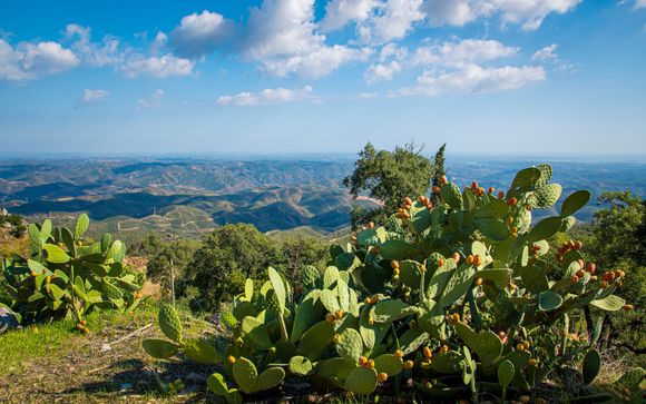 Je optionele excursies