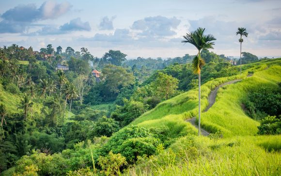 Welkom in... Indonesië!