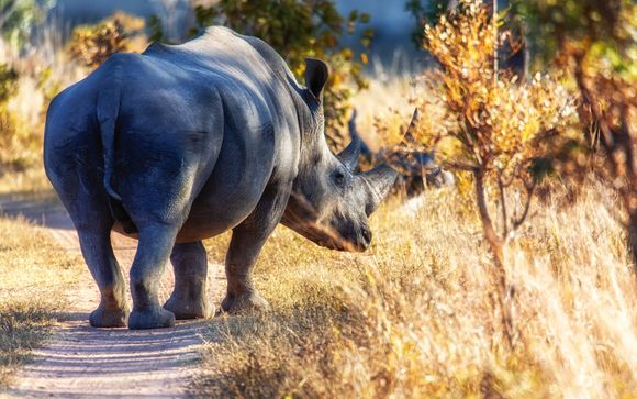 Welgevonden Private Game Reserve 