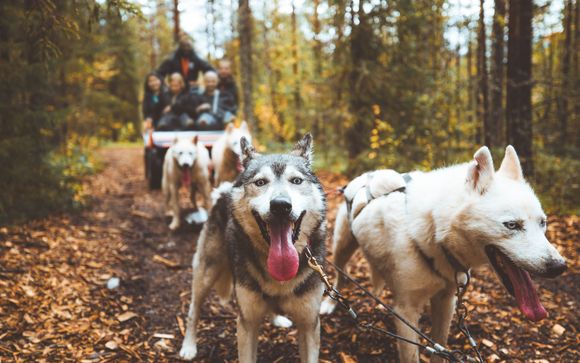 Kies voor een extra optie 