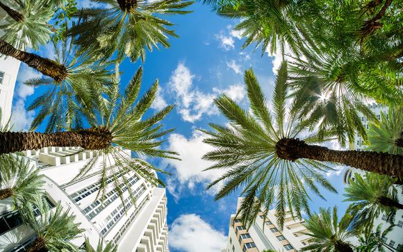 Welkom in ... Miami!