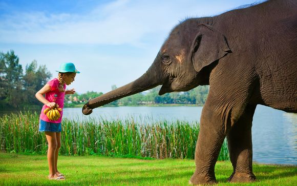 Welkom in... Phuket!