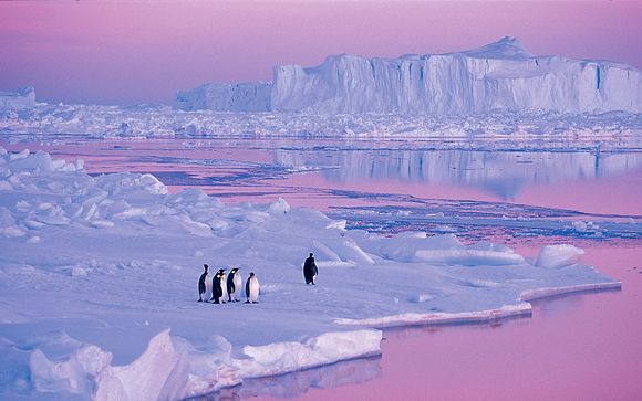 Welkom op... Antarctica!