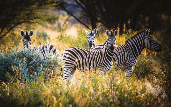 Welkom in... Namibië