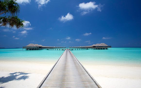 Welkom op... de Malediven!