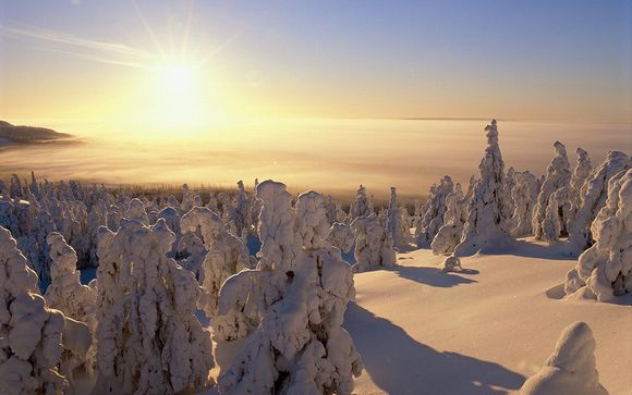 Welkom in... Fins Lapland