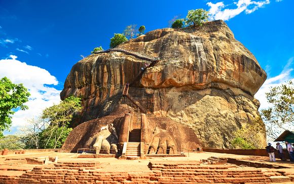 Uw programma voor 7 nachten