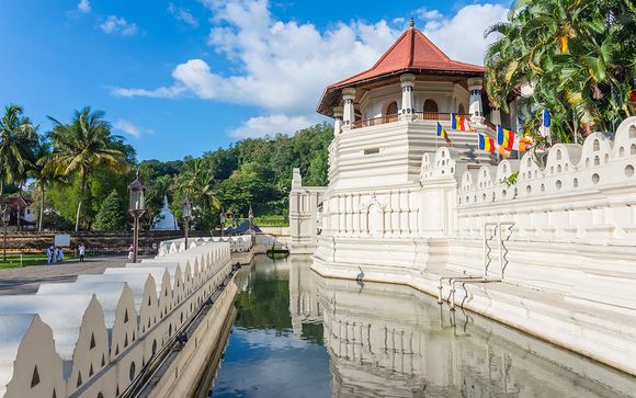 Uw reisprogramma in 10 nachten