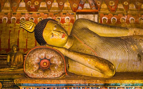 Uw reisprogramma in 8 nachten