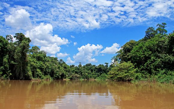 Welkom in... het Amazonegebied