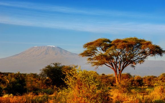 Uw safari van 3 nachten in Tsavo East, Amboseli en Taita Hills