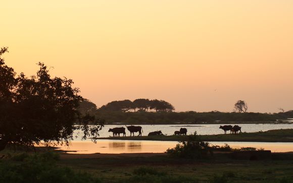 Welkom in... Sri Lanka