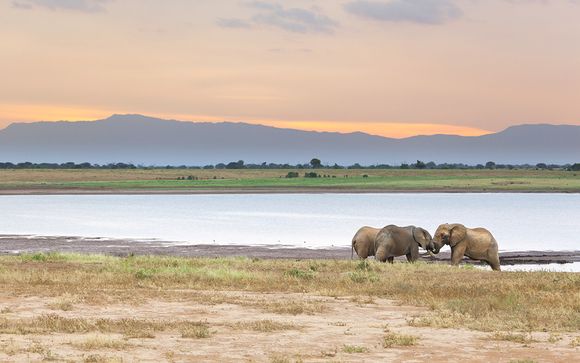1 nacht safari: Tsavo East National Park