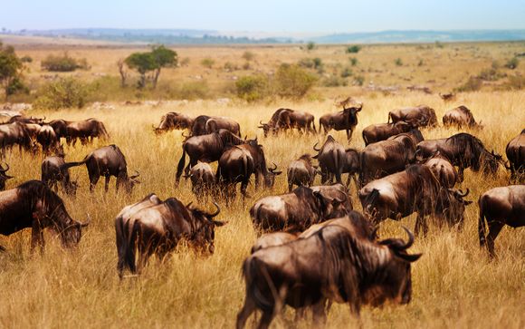 Welkom in ... Kenia!