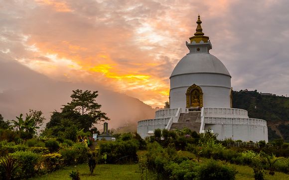 Uw optionele trekking