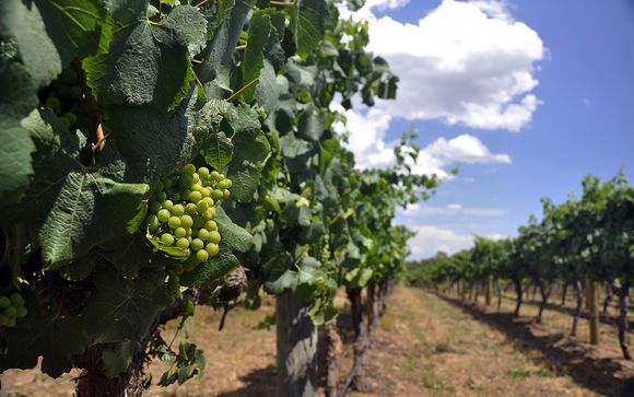 Extra opties in Perth