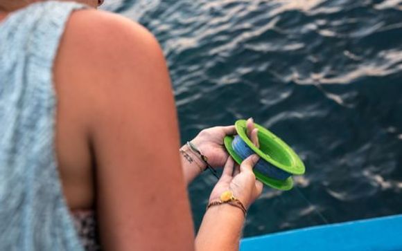 Uw inbegrepen excursies