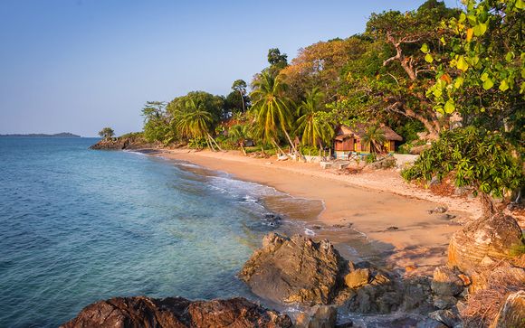 Uw reisprogramma in 7 nachten