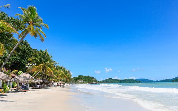 Uw reisprogramma in 12 nachten