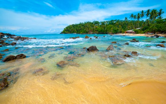 Uw programma van 12 nachten