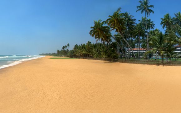 Uw programma voor 9 nachten