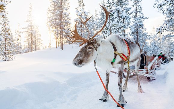 Uw programma voor 4 dagen/3 nachten