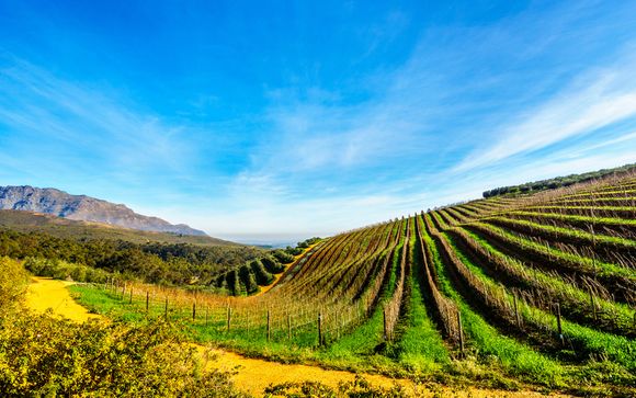 Welkom in... Zuid-Afrika