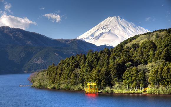 Uw programma van 7 nachten