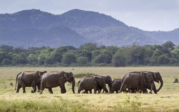 Your itinerary in detail