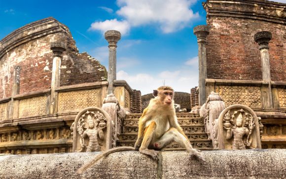 Your itinerary in brief