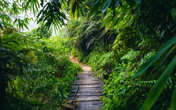 Optional excursions & extras