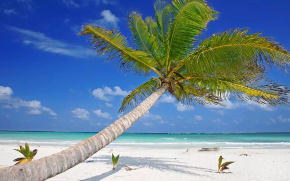 Welcome to New York and Mexico