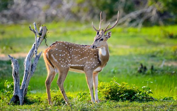 Your itinerary in detail