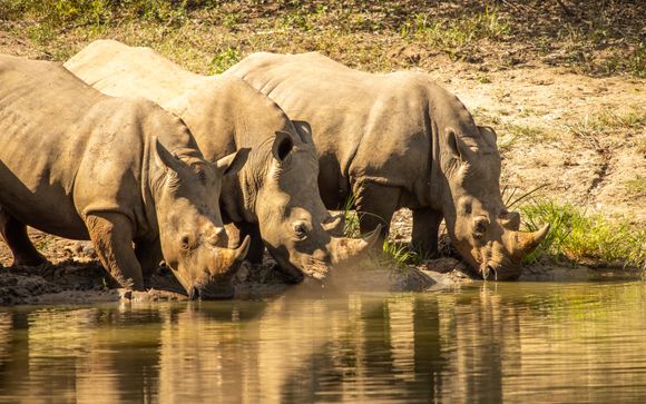 Your itinerary in detail