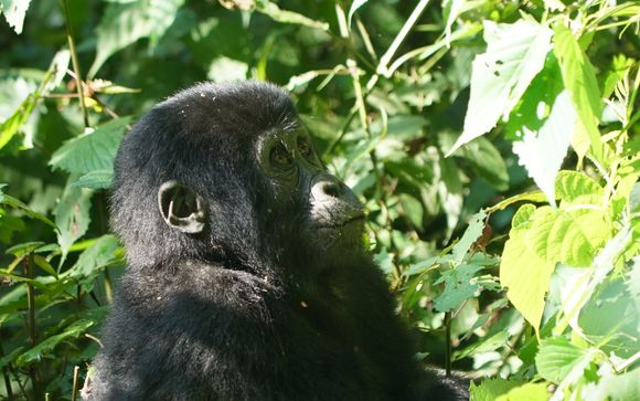 Your itinerary in brief