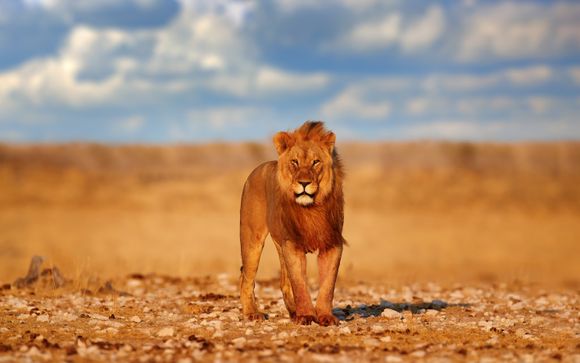 Your itinerary in detail