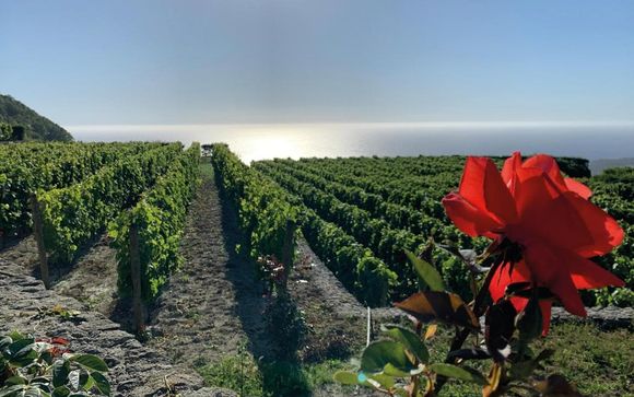 Your included services