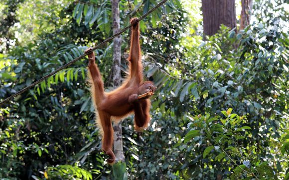 Your itinerary in detail