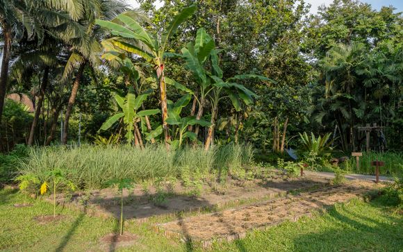 High Season Pool Villa & Spa Koh Kood 5* 