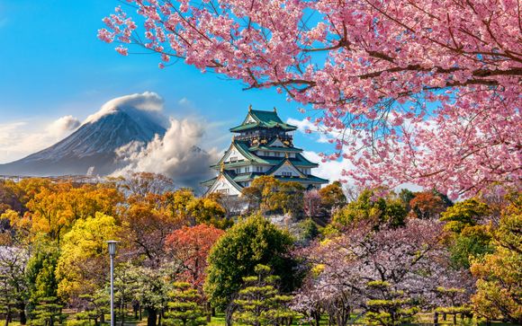 Your itinerary in detail