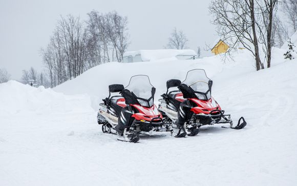 Snowmobile Safari