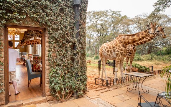 Your optional excursions